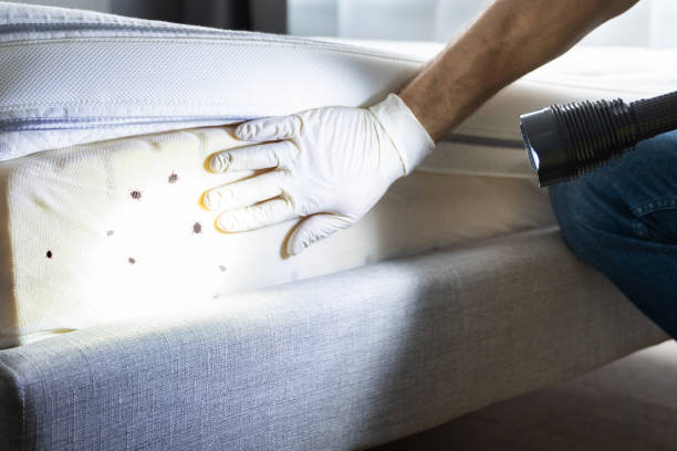 Best Best Pest Control Near Me  in Oceano, CA